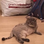 今天也想恰火锅