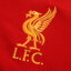 LiverBird