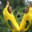 BananaAsReward