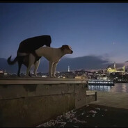 阿姨，请放手！