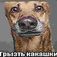 ツツツツツツツツツツ