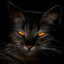KitCat