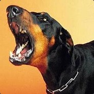 你见过疯狗么？