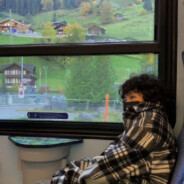 一只不会伤心的猫