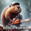 bober kurwa
