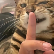 菜鸟驿站想寄就寄