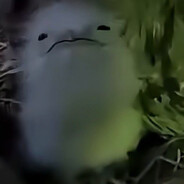 𝙖𝙣𝙙𝙖𝙩𝙖𝙧𝙖