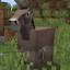 Stein