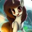 PON9SHKA