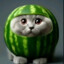 WATERMELON CAT!!!!!!!!!