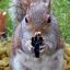 Barking_Death_Squirrel