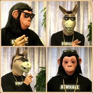 蒙奇·D·天蓬元帅♛