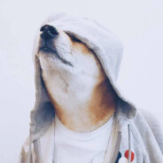 莫非我们是老六