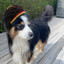 Rasta Hassan