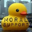 duck_MS