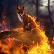 FIRE FOX RU