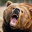 Grizzly Bear