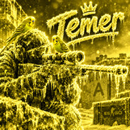 Player avatar