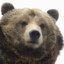 Bearstwo