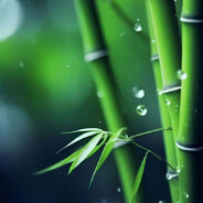 咕噜咕噜叽里呱啦