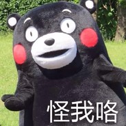 EightSkins Chow