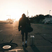 郁金香没有哥的阴金香