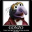 GonZo