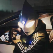 当猪脑过载时，我会选择用牛子思考