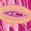 ✪VeyMassoNz