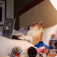 麦当劳捞薯师傅