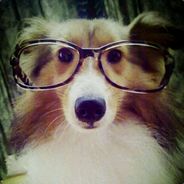 绝世拽妃难训狂美男误惹纨绔世子陷入宫斗漩涡