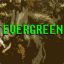 |abis| Evergreen