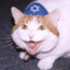✡ Black Semite ✡