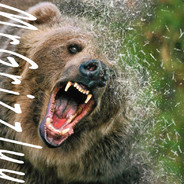 MrGrizzlyy