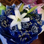 镇威-真武-八式