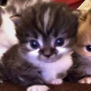 江湖上叫我萧大侠