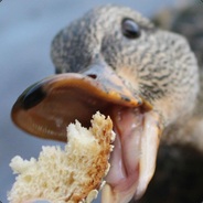 luzo - steam id 76561197965758247
