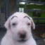Yoy's avatar