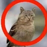 Five Night Frederick