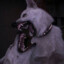 Cannibal_Carni