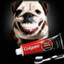 ПЁС COLGATE ЧЁРН