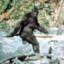 Bigfoot