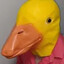 duck9r