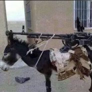 Donkey Gun