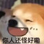 加强天道超