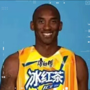 子阳的动物伙伴