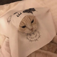 不若相忘于江湖