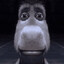 donkey