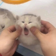 V eBaLo? no comments