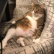 Y'know my brother man?